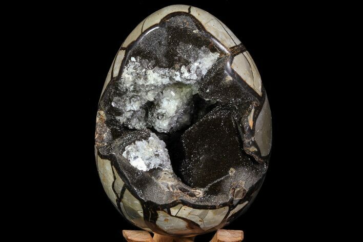 Septarian Dragon Egg Geode - Crystal Filled #71845